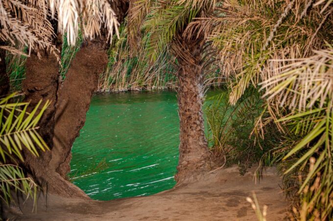 Rethymno: Preveli Beach Damnoni Beach Kourtaliotiko Day Trip - Frequently Asked Questions