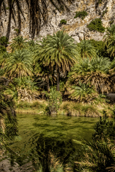 Rethymno: Preveli Palms, Damnioni Beach & Plakias Villlage - Getting to the Destinations