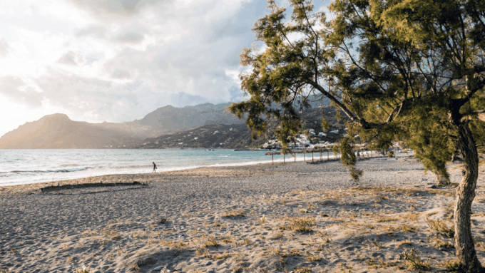 Rethymno: Preveli Palms, Damnioni Beach & Plakias Villlage - Additional Tips and Information
