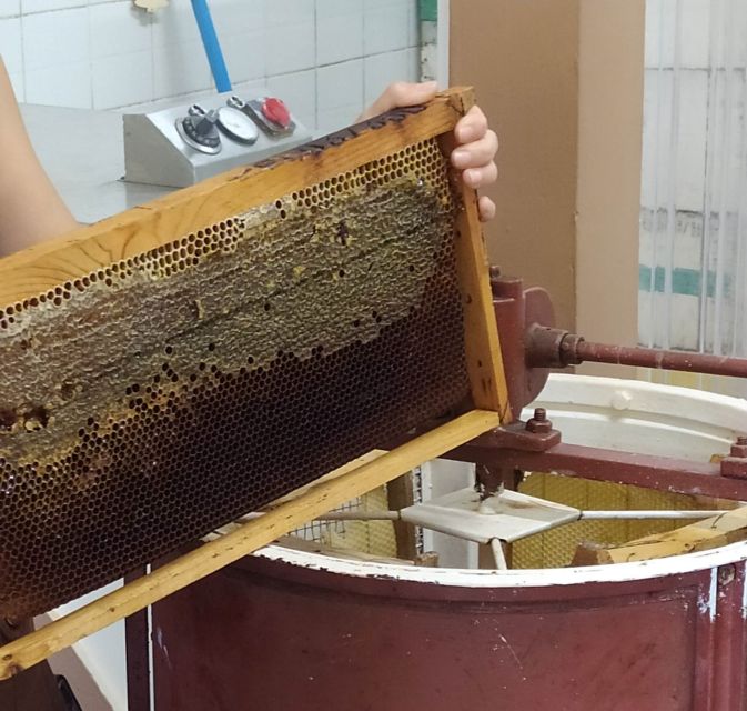 Rethymno: Private Olive Oil & Honey Tasting Tour With Lunch - Important Information