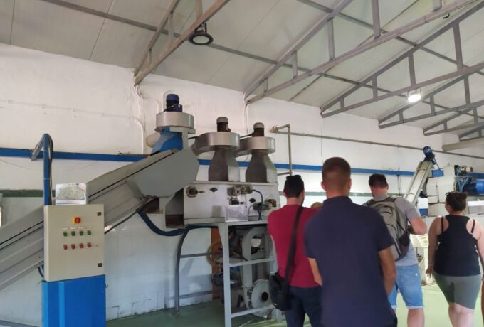 Rethymno: Private Olive Oil & Honey Tasting Tour With Lunch - Olive Oil Production Insight