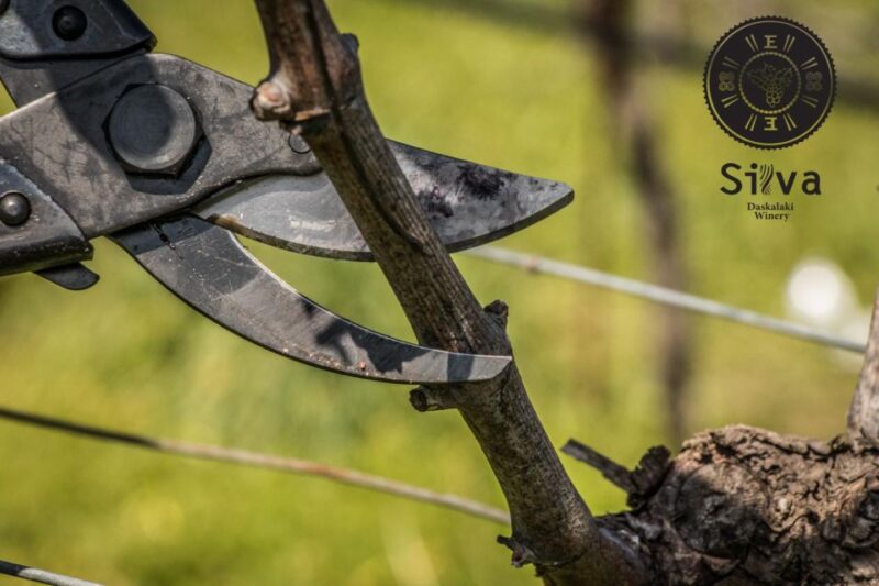 Rethymno: Private Wine Tour of Dafnes Valey With Lunch - Scenic Drive Through Valleys