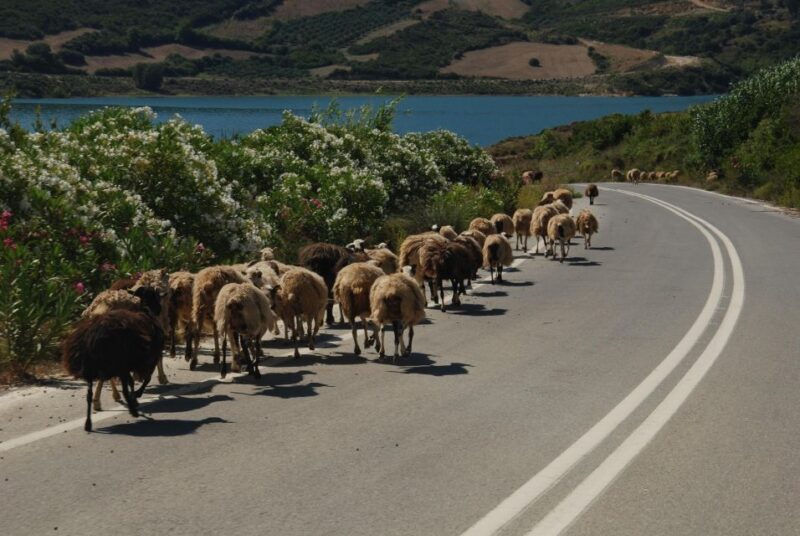 Rethymno | Safari Tour in Private - Key Points