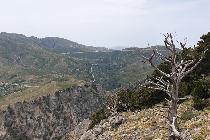 Rethymno Tour - VIP Private Tour - Reviews