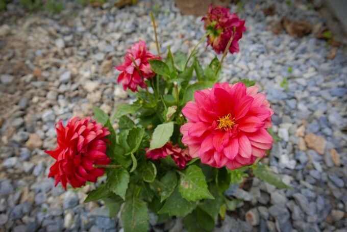 Rethymno: Traditional Cooking Class in a Cretan Village - Frequently Asked Questions