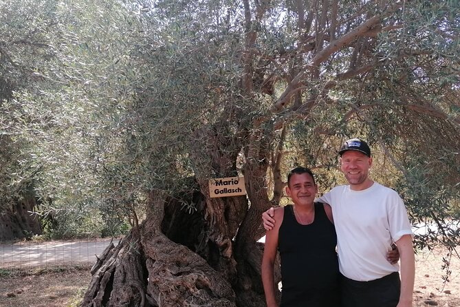Rethymnon Olive Tree Sponsorship Protect and Plant Tour - Overview