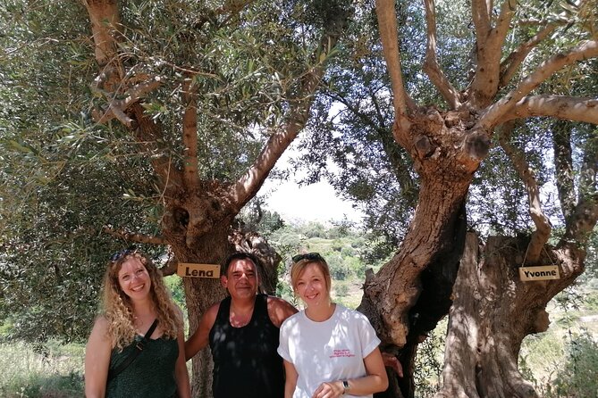 Rethymnon Olive Tree Sponsorship Protect and Plant Tour - Schedule and Availability