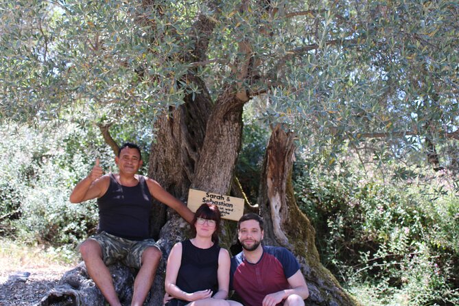 Rethymnon Olive Tree Sponsorship Protect and Plant Tour - Additional Information