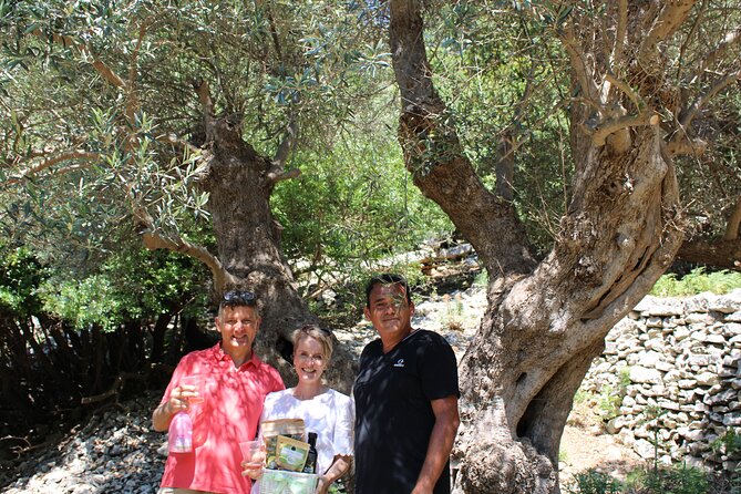 Rethymnon Olive Tree Sponsorship Protect and Plant Tour - Included With Sponsorship