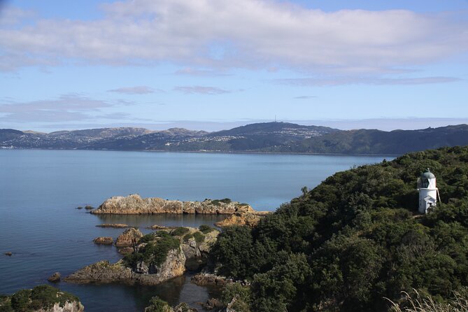 Return Ferry Trip to MāTiu/Somes Island - Accessibility Information