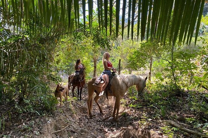 Rey Spearo - Enchanting Romantic and Adventure Horseback Tours - Meeting and Pickup Details