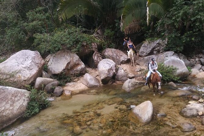 Rey Spearo - Enchanting Romantic and Adventure Horseback Tours - Guest Reviews and Ratings