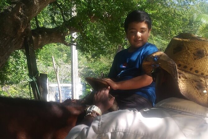 Rey Spearo - Enchanting Romantic and Adventure Horseback Tours - Booking and Payment Options