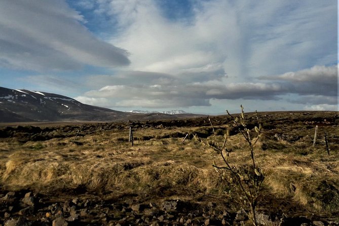 Reykjanes Peninsula- Geopark and Much More. Private Tour - Pricing and Booking