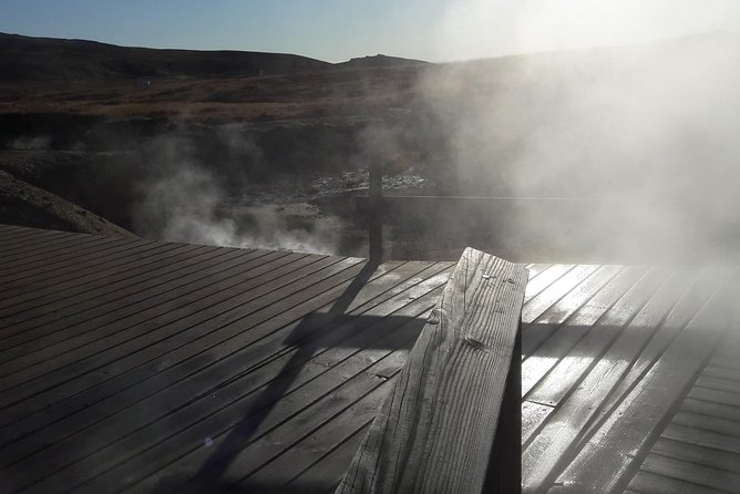 Reykjanes Peninsula- Geopark and Much More. Private Tour - Health and Safety Regulations
