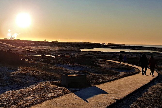 Reykjanes Peninsula- Geopark and Much More. Private Tour - Highlights of the Tour