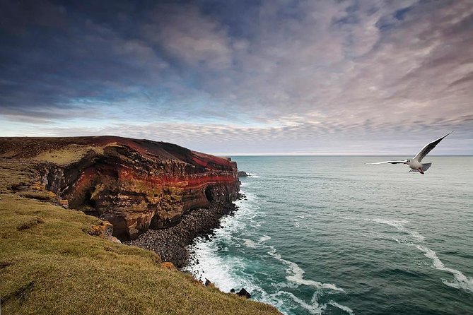Reykjanes Peninsula + Lava Fields - Tour Highlights