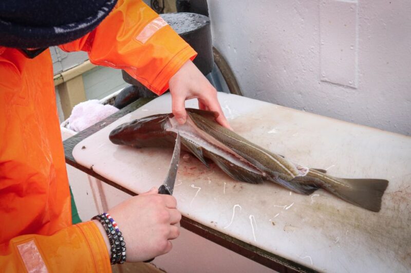 Reykjavik: 3-Hour Sea Angling Gourmet Experience Tour - Meeting Point and Requirements