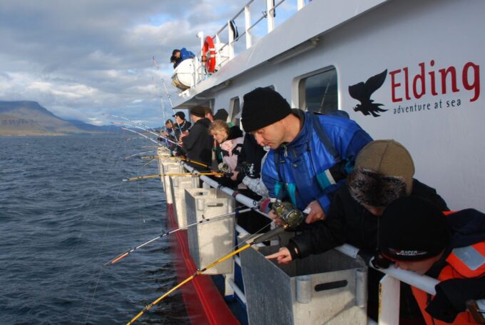 Reykjavik: 3-Hour Sea Angling Gourmet Experience Tour - Scenic Views and Fresh Air