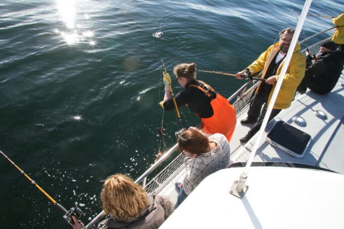 Reykjavik: 3-Hour Sea Angling Gourmet Experience Tour - Frequently Asked Questions