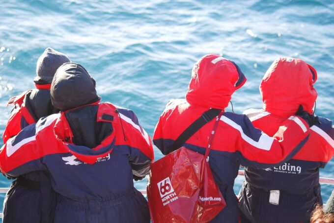 Reykjavik: 3-Hour Whale Watching Tour - Environmentally Certified Company