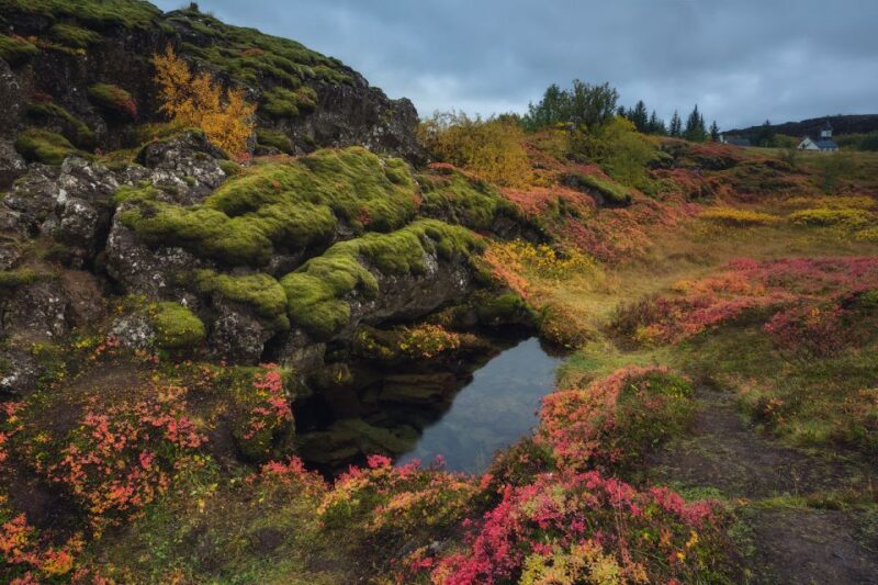 Reykjavik: 5-Day Iceland Vacation With Northern Lights Hunt - Accommodation and Convenience