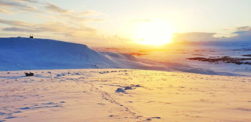Reykjavik: Buggy Safari Tour With Hotel Transfers - Buggy Tour Experience Details