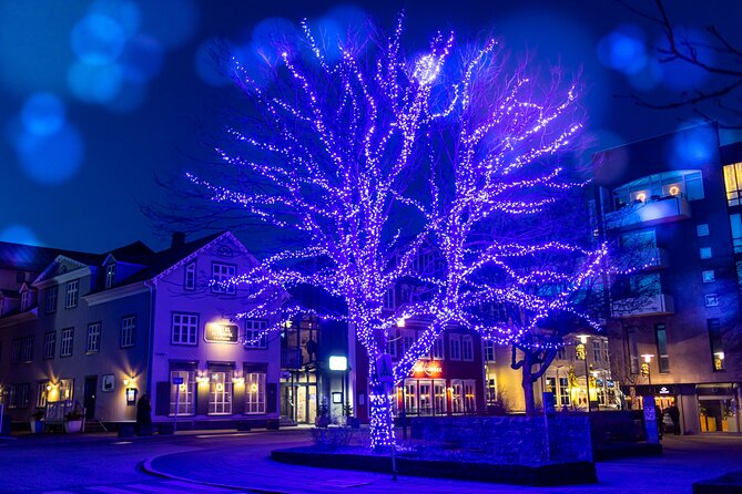 Reykjavik Christmas Walking Tour - Tour Details