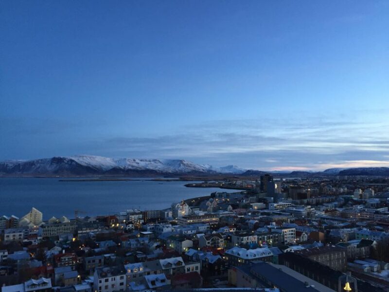Reykjavik City - Half Day Private Tour - Vehicle Details