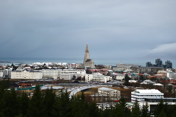 Reykjavik City Private Tour - Personalized Recommendations