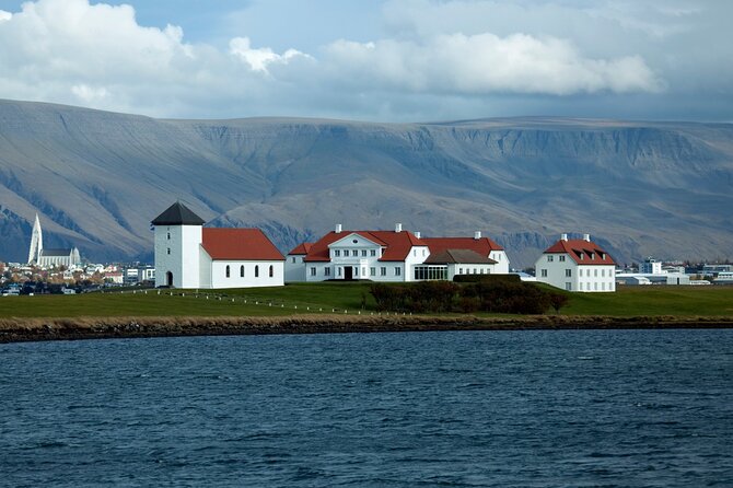 Reykjavik City Private Tour - Pricing and Availability
