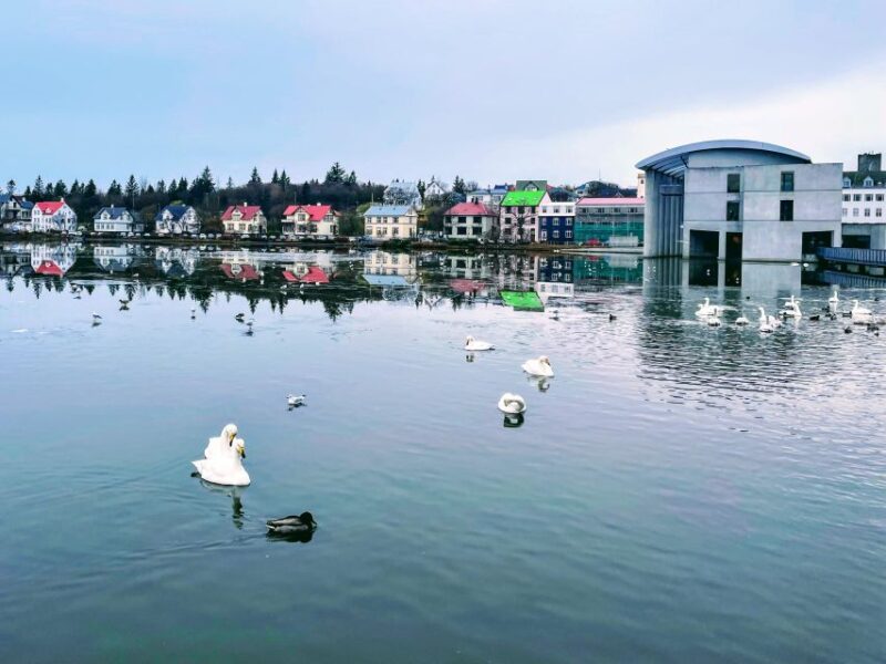 Reykjavik: City Walking Tour in Small Group With Local Guide - Customer Reviews