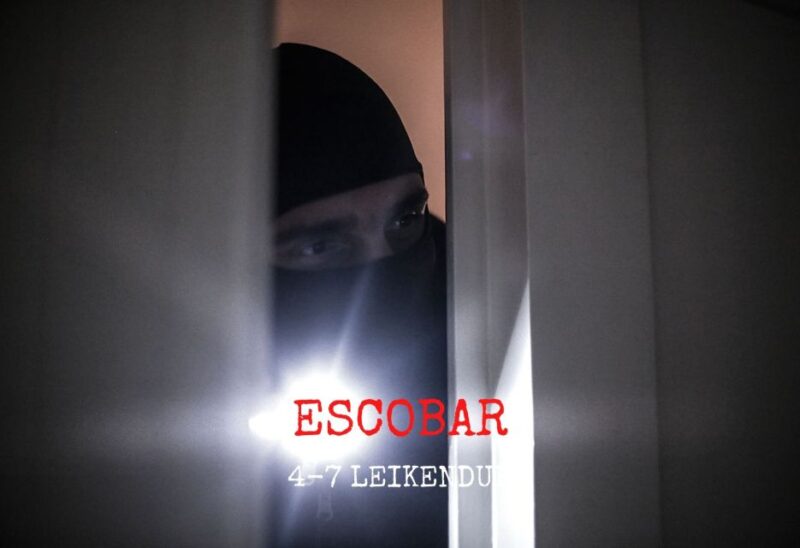 Reykjavik: Escobar Private Themed Escape Room Experience - Game Description
