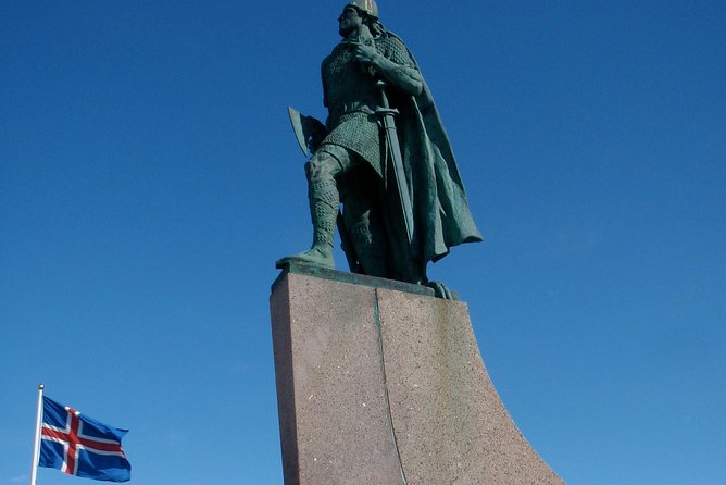 Reykjavik Food Tour and City Walk - PRIVATE TOUR - Accessibility and Participation
