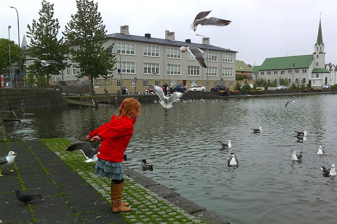Reykjavik Food Tour and City Walk - PRIVATE TOUR - Pricing and Cancellation Policy