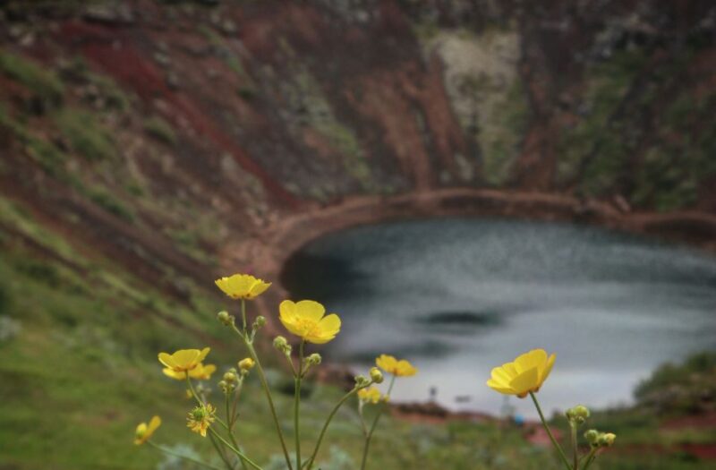 Reykjavík: Golden Circle Geological Jeep Day Trip - Inclusions and Exclusions