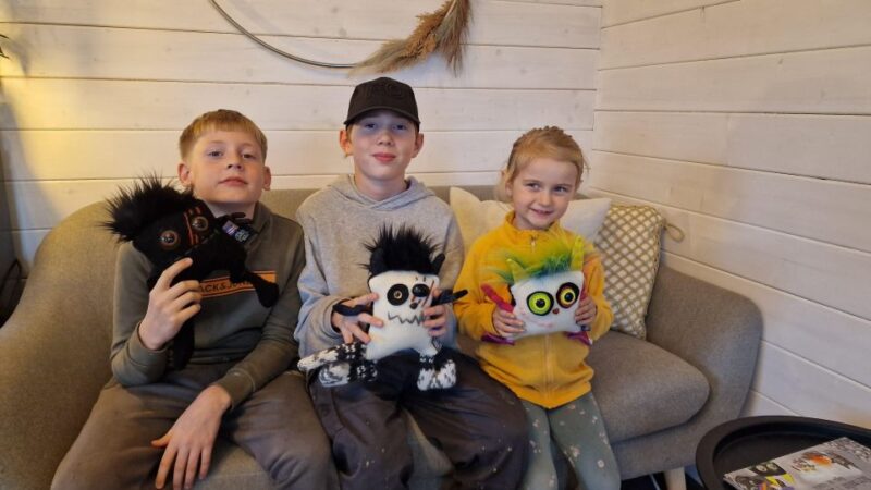 Reykjavik: Make an Icelandic Wool Monster - Booking and Cancellation