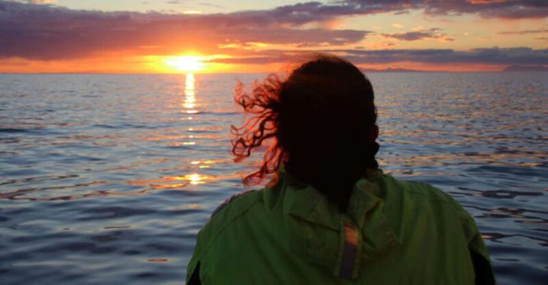 Reykjavík: Midnight Sun Whale Watching Cruise - Tour Departure and Meeting Point