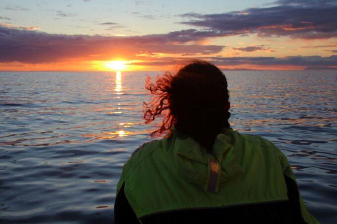 Reykjavík: Midnight Sun Whale Watching Cruise - Complementary Tour Offer