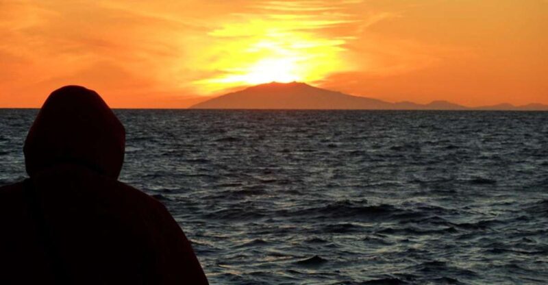Reykjavik: Midnight Sun Whale Watching Tour - Whale Sighting Guarantee