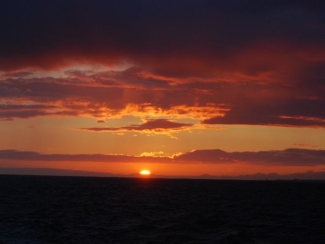 Reykjavik: Midnight Sun Whale Watching Tour - Whale Research and Conservation