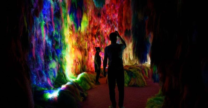 Reykjavík: Multi-Sensory Art Installation Chromo Sapiens - Location and Duration
