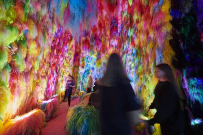 Reykjavík: Multi-Sensory Art Installation Chromo Sapiens - Venue Highlights