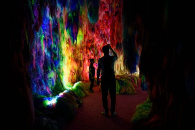 Reykjavík: Multi-Sensory Art Installation Chromo Sapiens - Accessibility and Languages