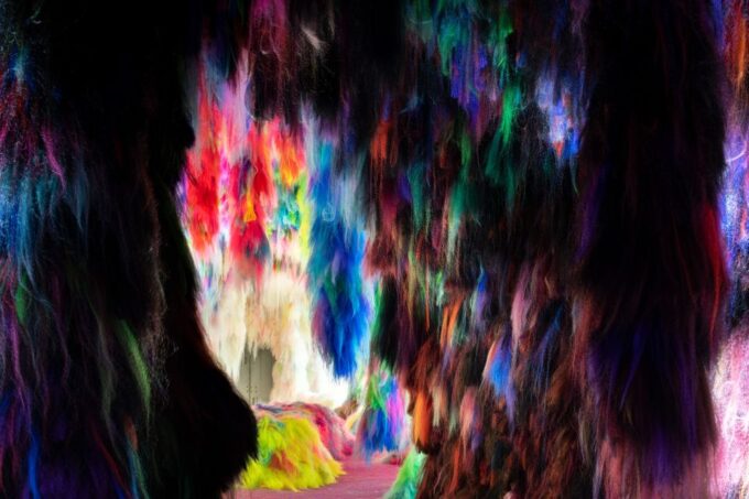 Reykjavík: Multi-Sensory Art Installation Chromo Sapiens - Frequently Asked Questions