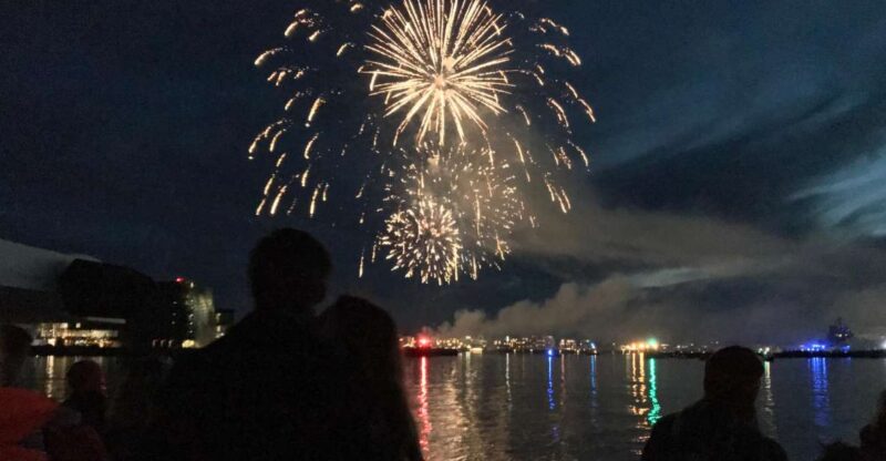Reykjavik: New Years Eve Fireworks Cruise - Experience Highlights