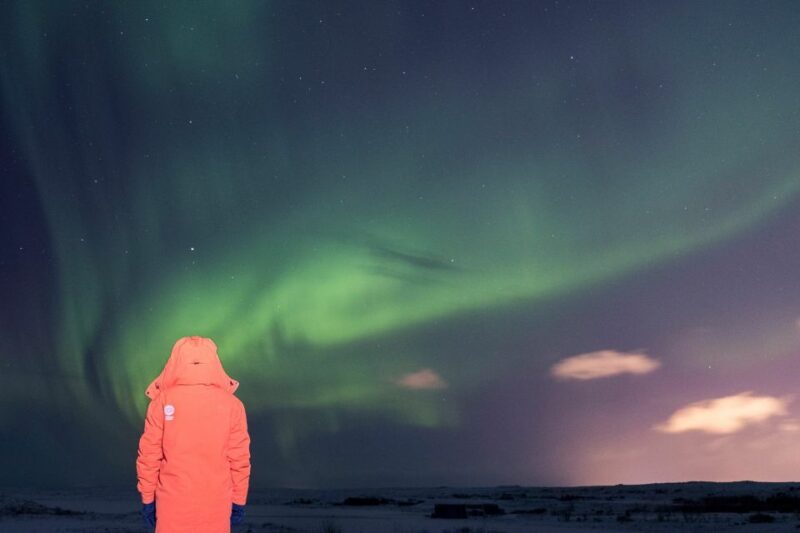 Reykjavik: Northern Lights Group Tour With Photos - Aurora Borealis Science