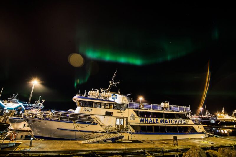 Reykjavik: Northern Lights Guided Boat Tour With Photos - Key Points