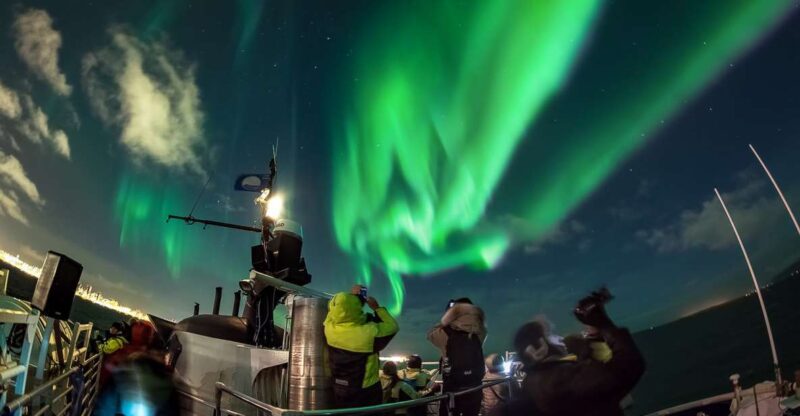 Reykjavik: Northern Lights Guided Boat Tour With Photos - Additional Features