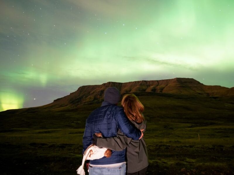 Reykjavik: Northern Lights Minibus Tour With Viking Weapons - Guide Expertise and Entertainment